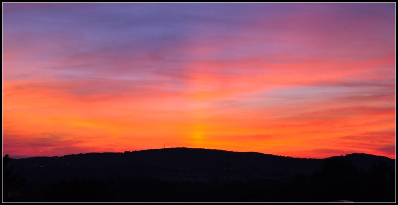 DSC_6126_1.jpg
