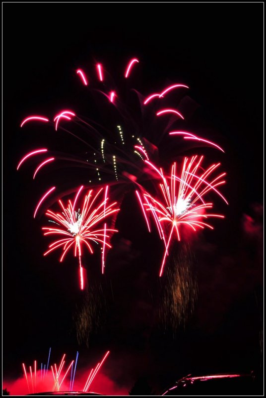 DSC_6236_1.jpg