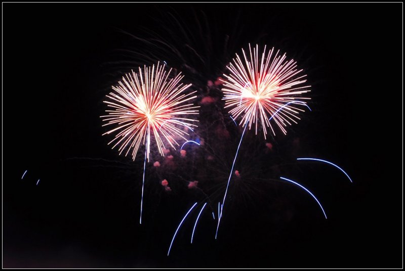 DSC_6316_1.jpg