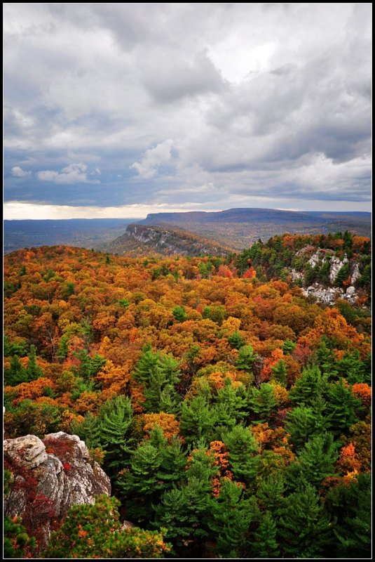 DSC_2491_1.jpg