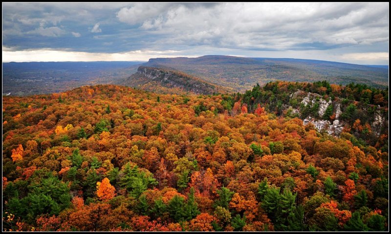 DSC_2501_1.jpg