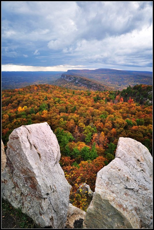 DSC_2502_1.jpg