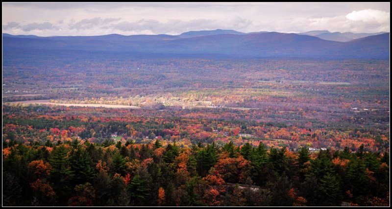 DSC_2513_1.jpg