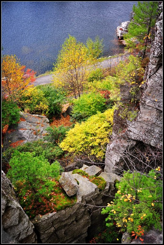 DSC_2555_1.jpg
