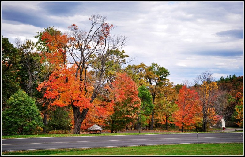 DSC_2601_1.jpg