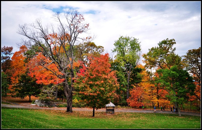 DSC_2608_1.jpg