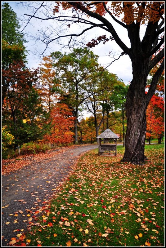 DSC_2613_1.jpg
