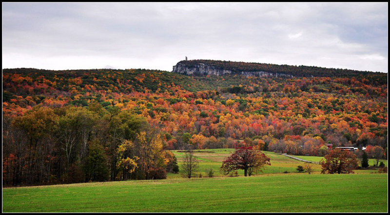 DSC_2648_1.jpg