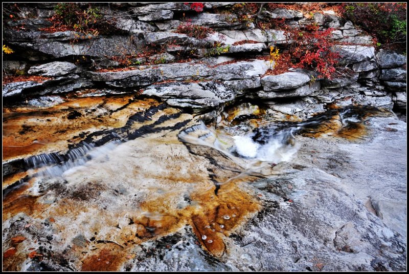 DSC_2673_1.jpg