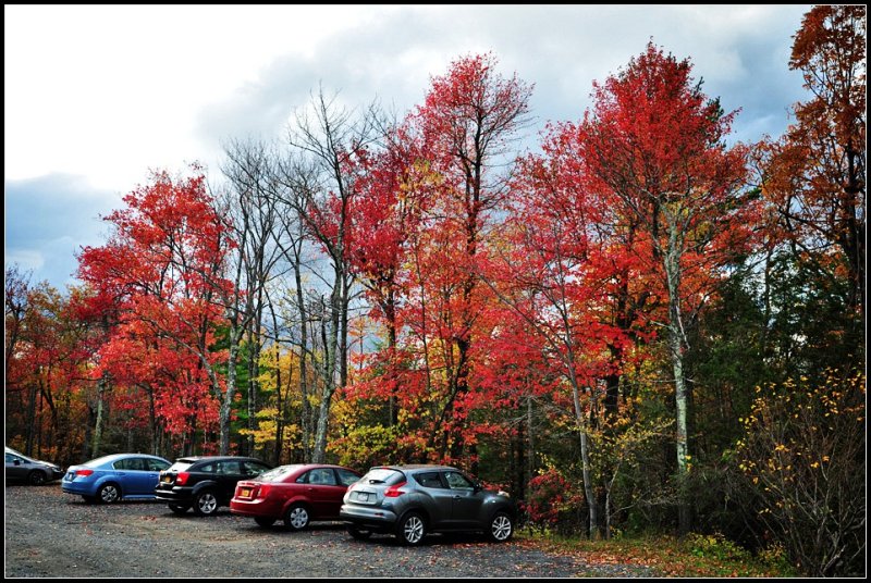 DSC_2738_1.jpg