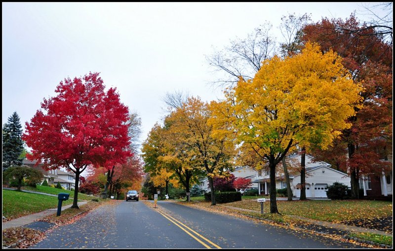 DSC_2975_1.jpg