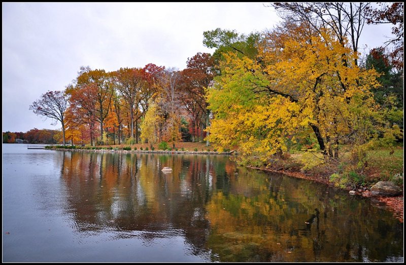 DSC_2995_1.jpg