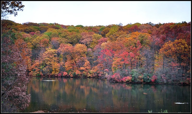 DSC_3008_1.jpg