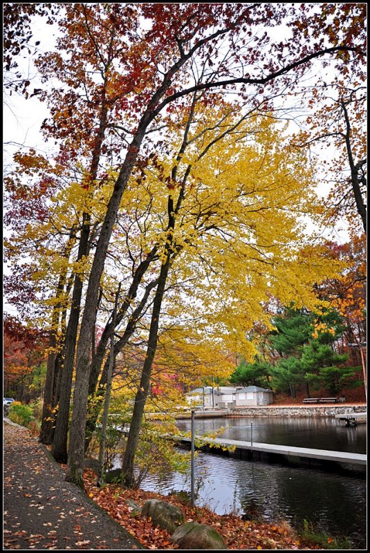 DSC_3027_1.jpg