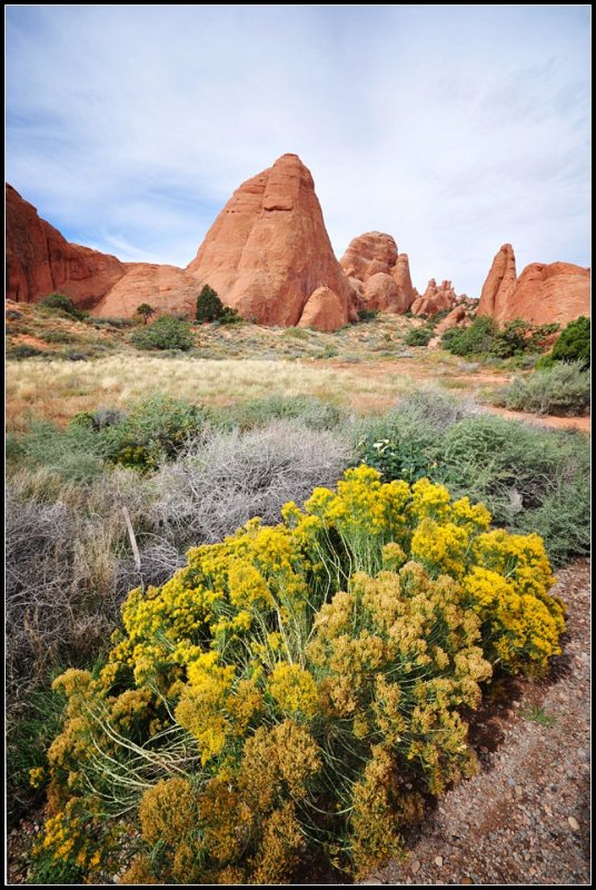 DSC_0005_1.jpg