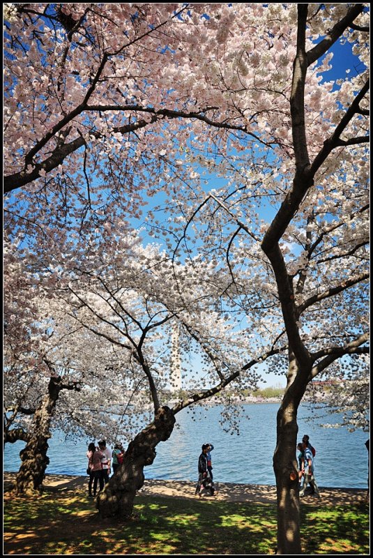DSC_6482_1.jpg