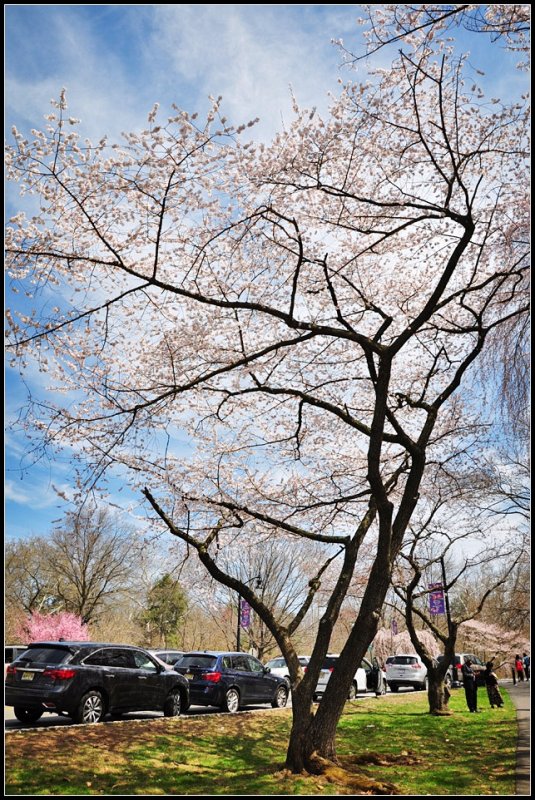 DSC_7046_1.jpg