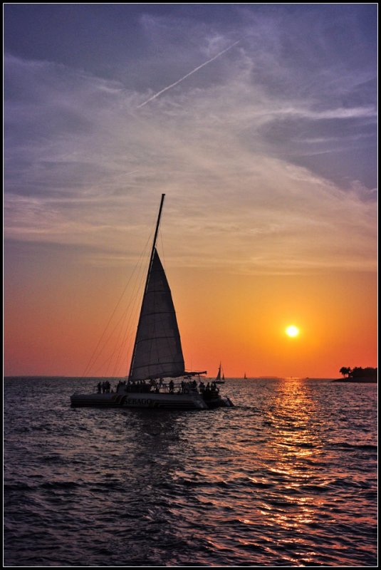 DSC_7394_1.jpg