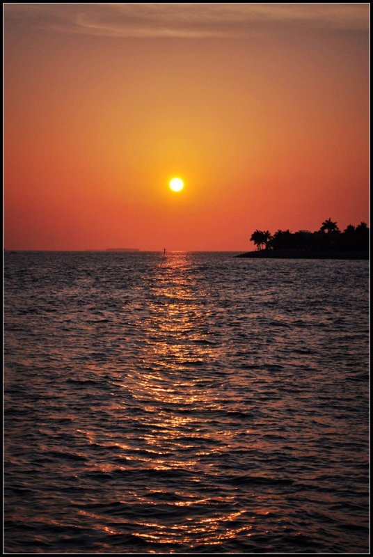 DSC_7406_1.jpg