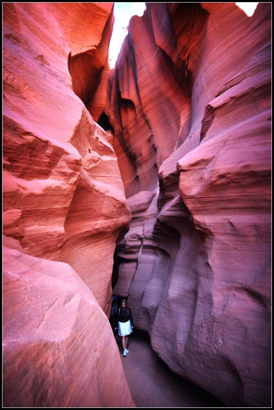 DSC_1138_1.jpg