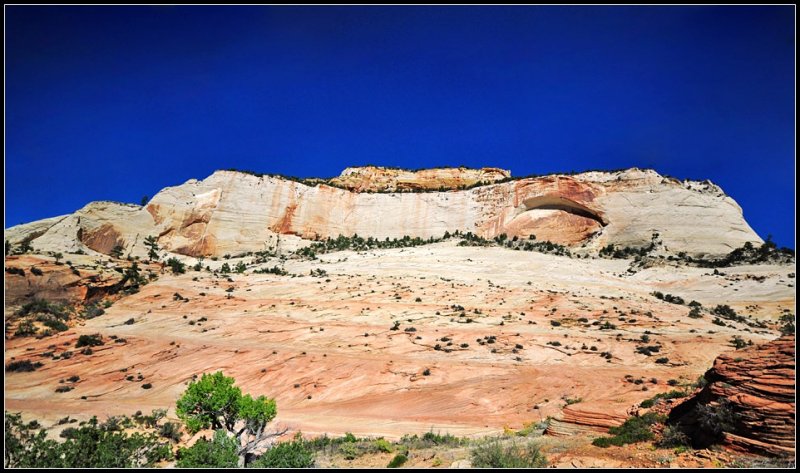 DSC_1725_1.jpg