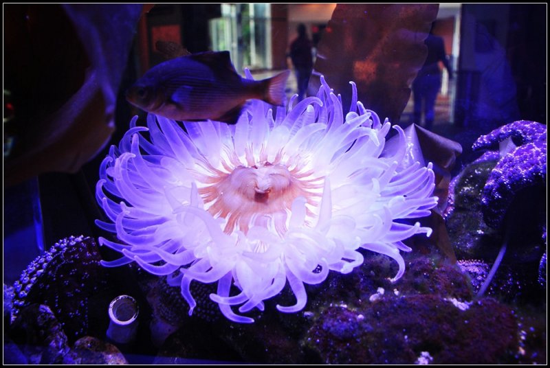 DSC_3952_1.jpg