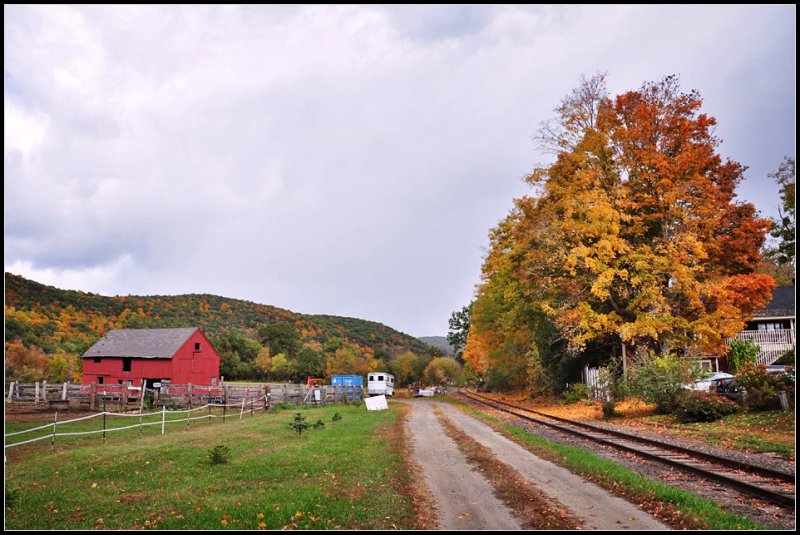 DSC_4608_1.jpg