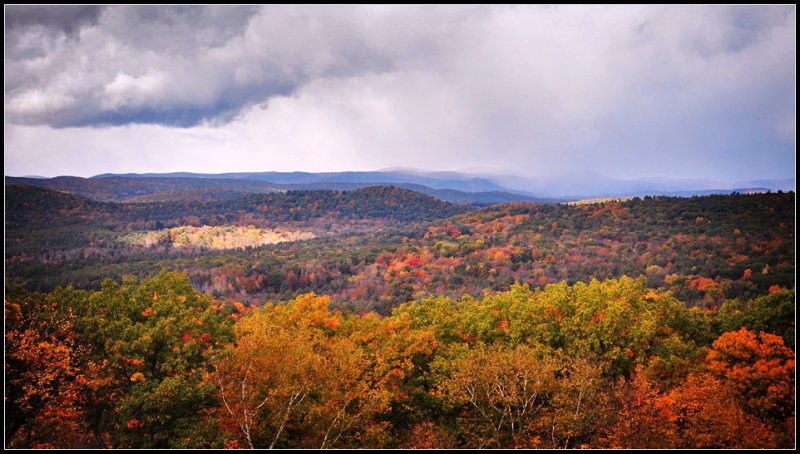 DSC_4909_1.jpg