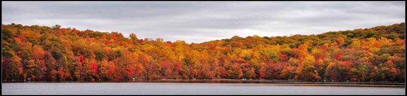 DSC_5366_1.jpg