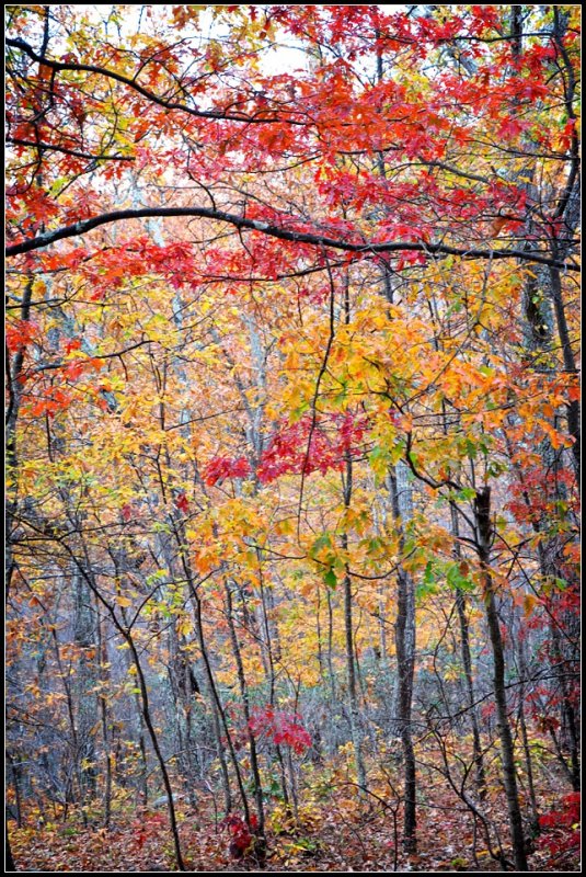 DSC_5873_1.jpg