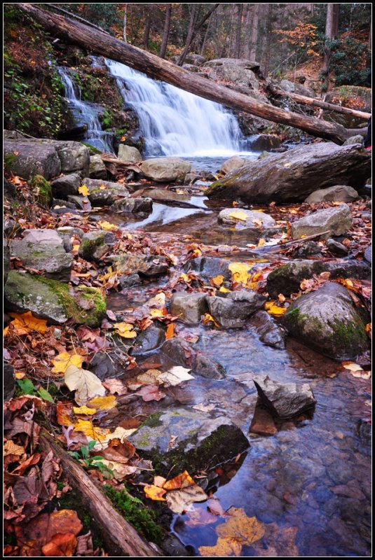 DSC_5919_1.jpg