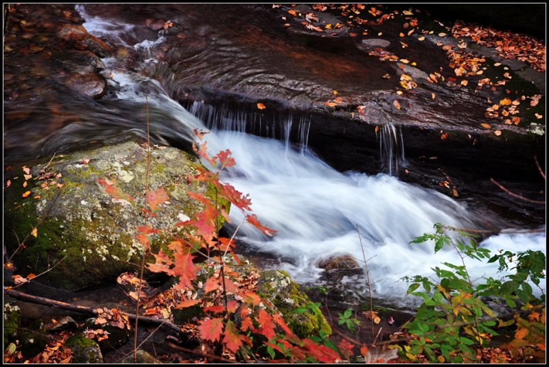 DSC_5966_1.jpg