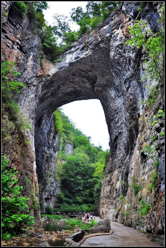 DSC_1391_1.jpg