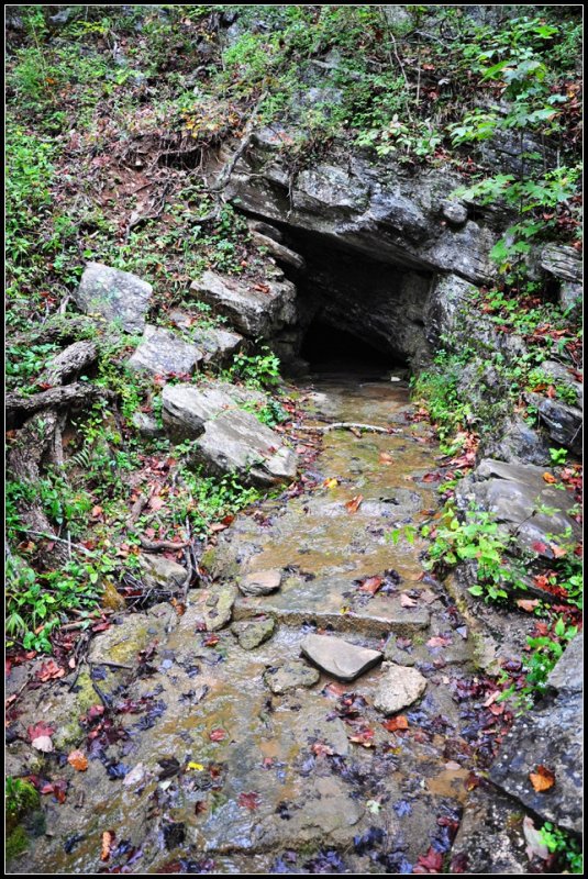 DSC_1520_1.jpg