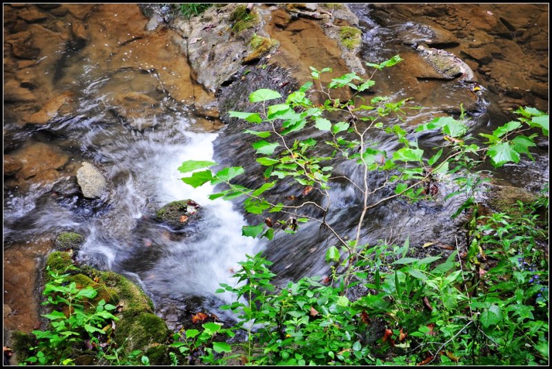 DSC_1527_1.jpg