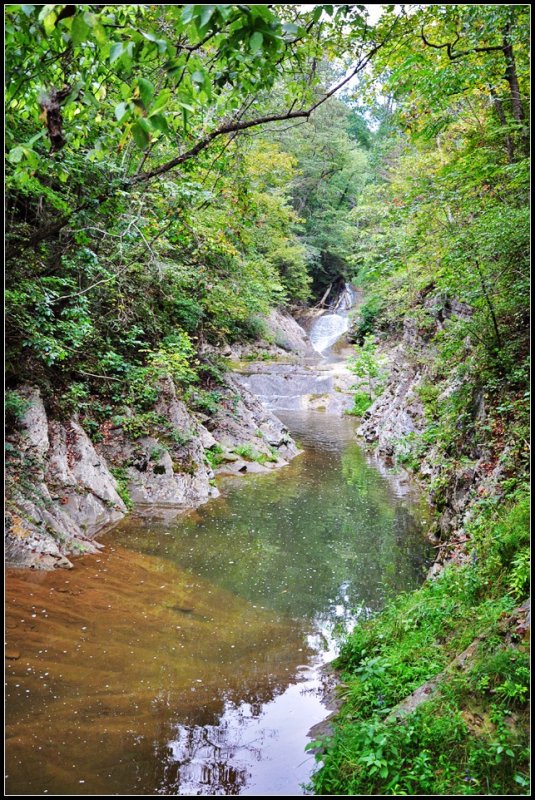 DSC_1538_1.jpg