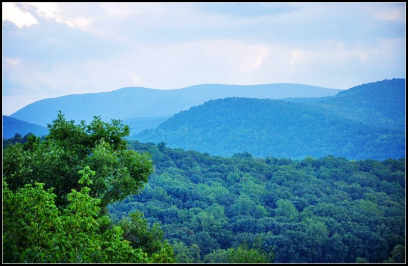 DSC_1668_1.jpg