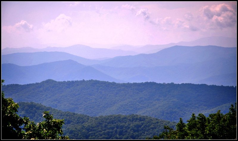 DSC_9754_1.jpg