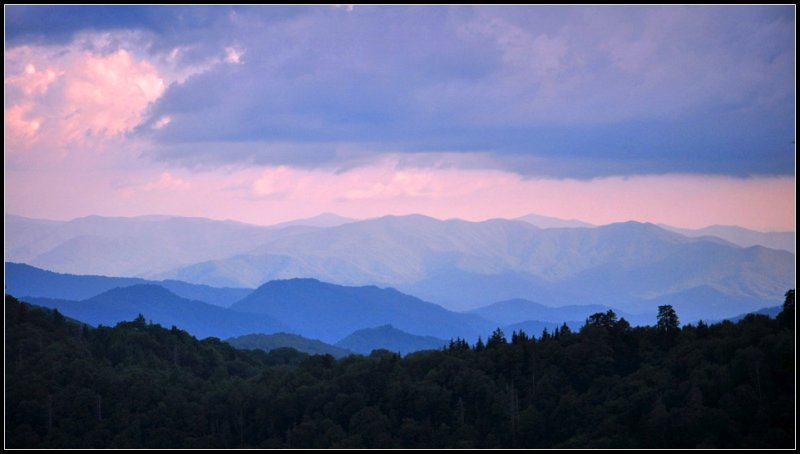 DSC_9858_1.jpg