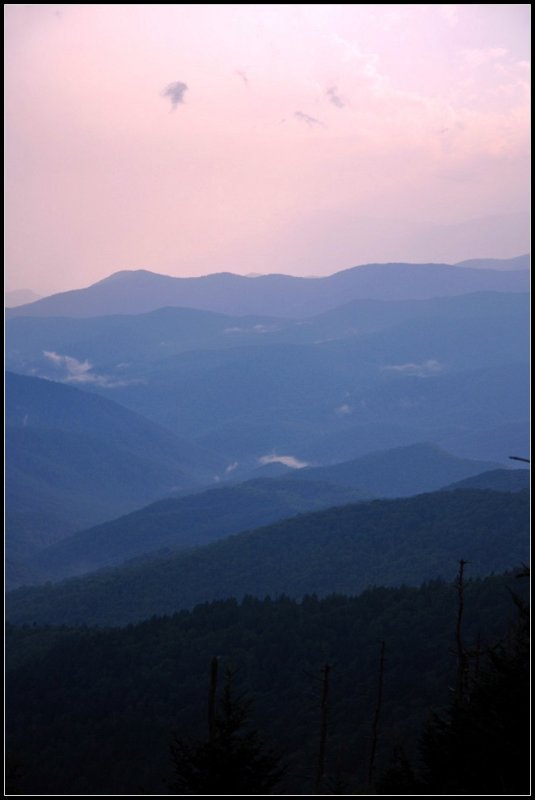 DSC_9919_1.jpg