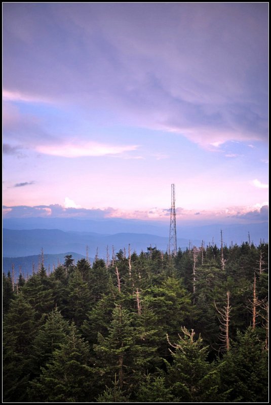 DSC_9969_1.jpg