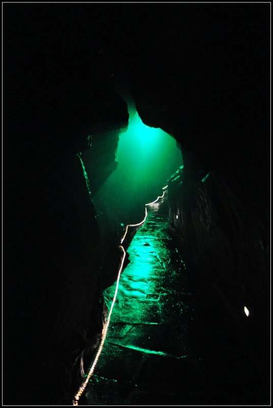 DSC_0957_1.jpg