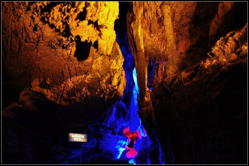 DSC_1237_1.jpg