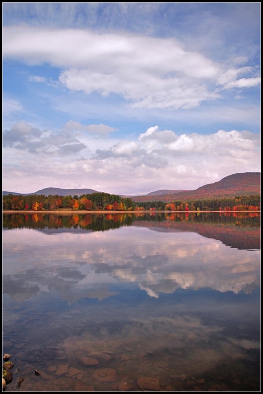 DSC_2527_1.jpg