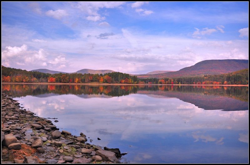 DSC_2536_1.jpg