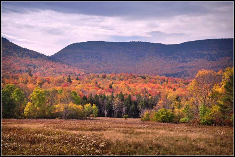 DSC_2661_1.jpg