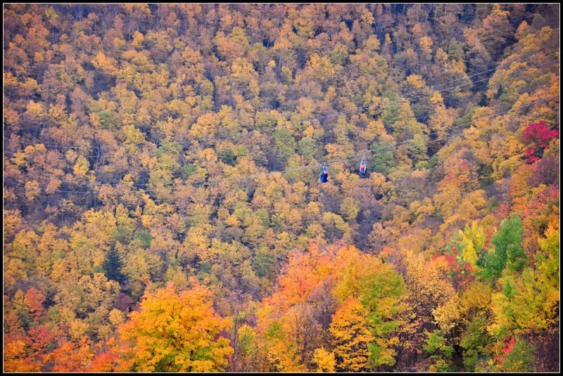 DSC_2857_1.jpg
