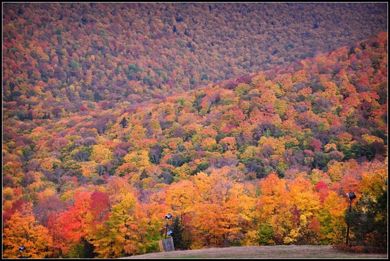 DSC_3029_1.jpg