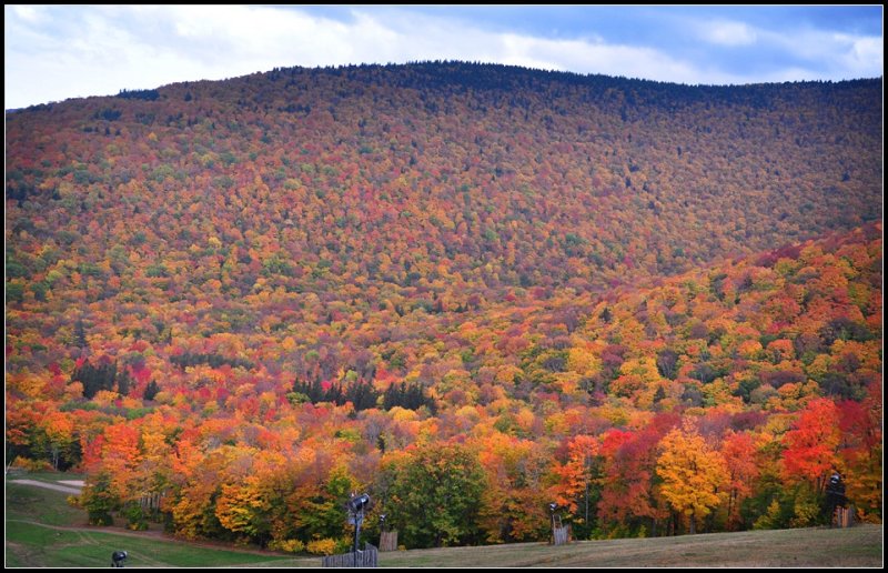 DSC_3033_1.jpg