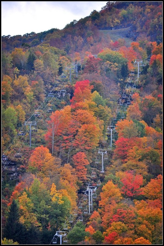 DSC_3067_1.jpg